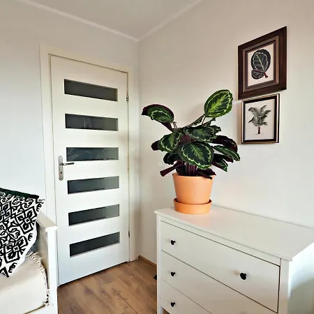 Sea View, 200 M Do Monte Cassino Grottgera 6, Apartament *