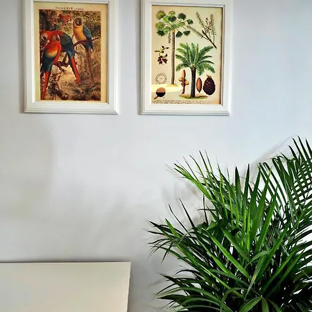 Sea View, 200 M Do Monte Cassino Grottgera 6, Apartament Sopot
